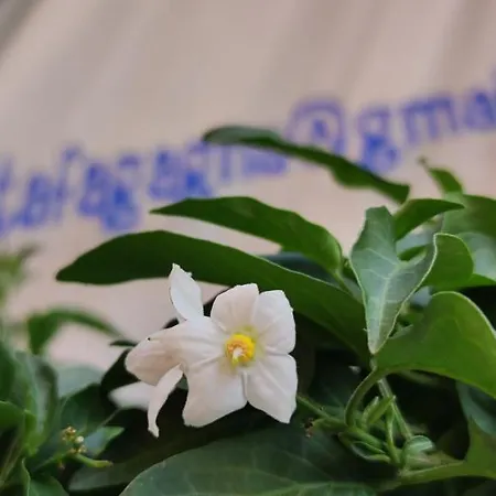 Apartman Casettafagagna Fagagna